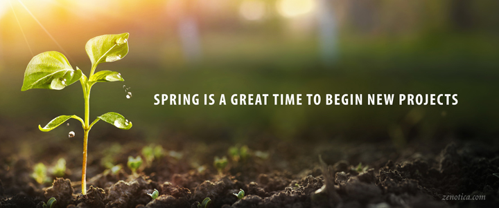 Spring-is-a-great-time-to-begin-new-projects