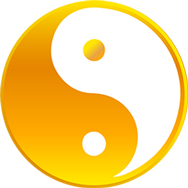 zenotica yin yang gold
